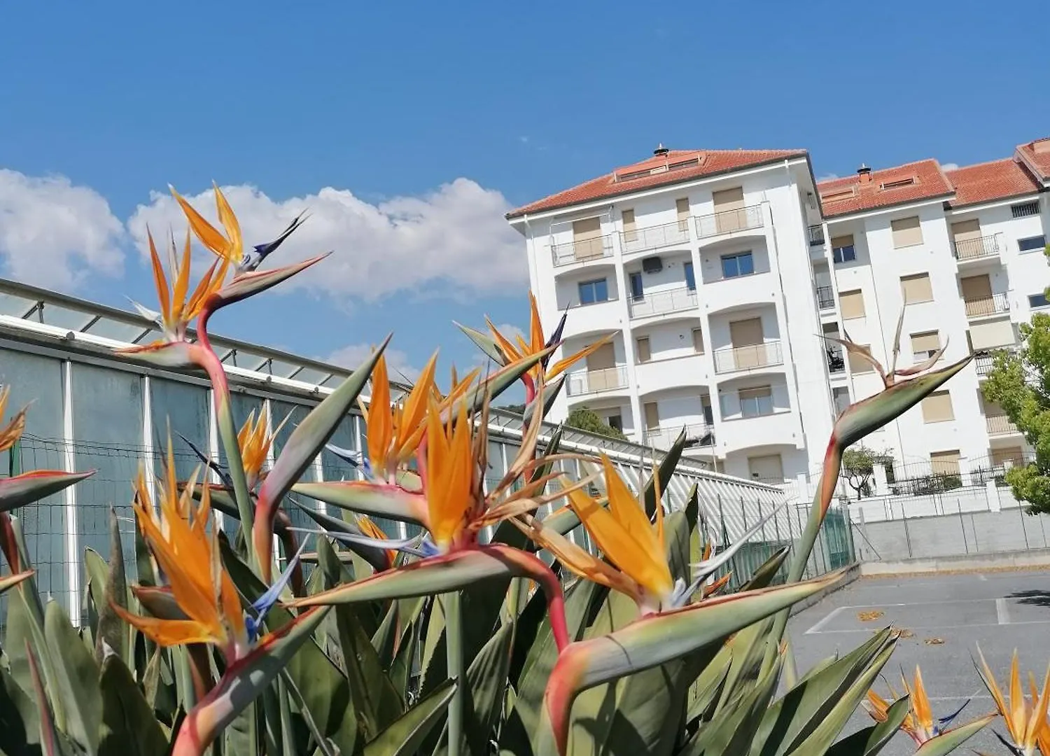 Appartamento Mare Verde Alloggio Con Dheors San Bartolomeo Al Mare
